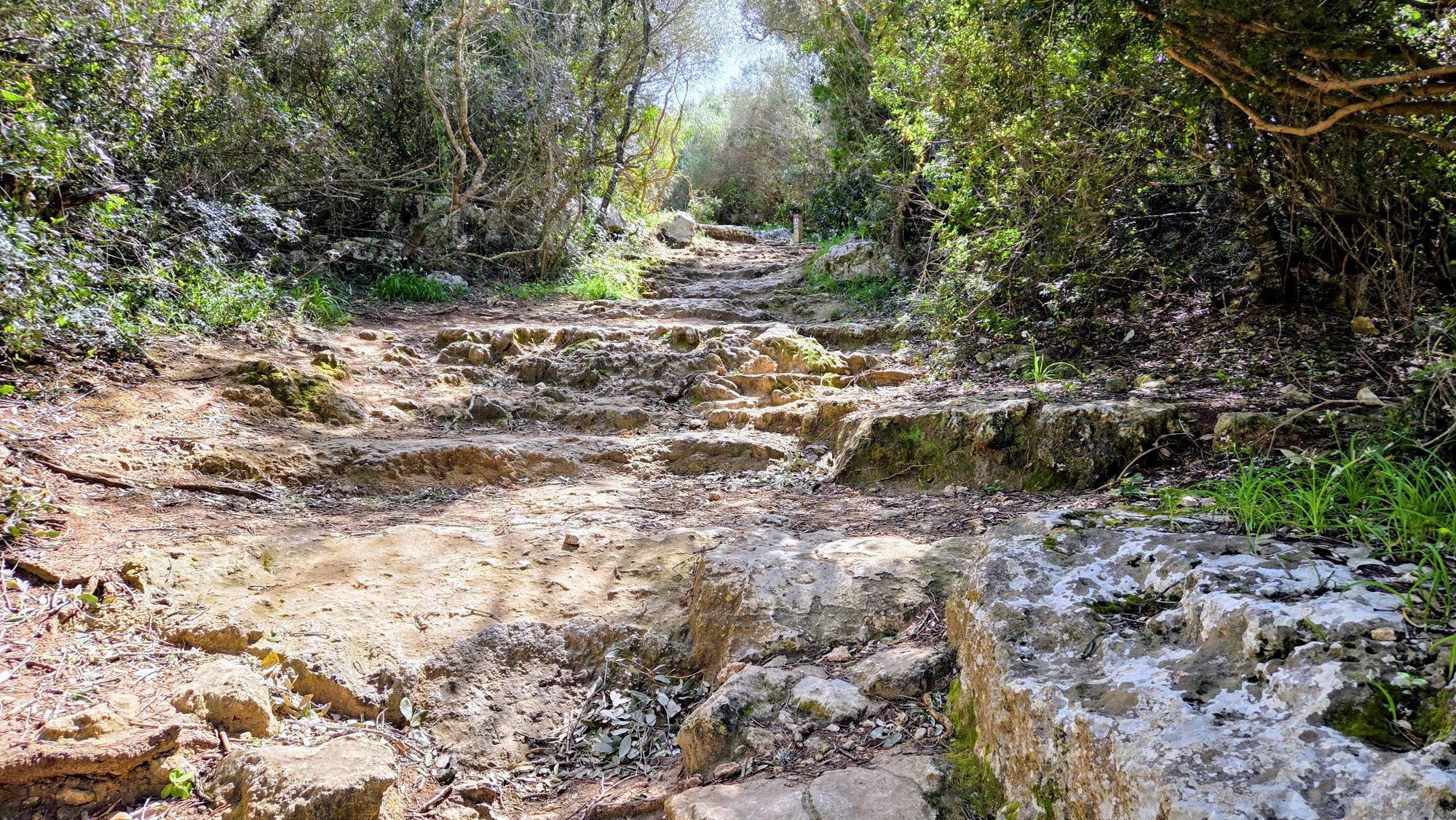 Traditional dry-stone walls beside the Camí de Cavalls walking route in Menorca